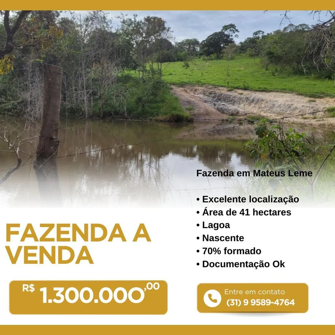 Fazenda toda formada, 41 hectares 