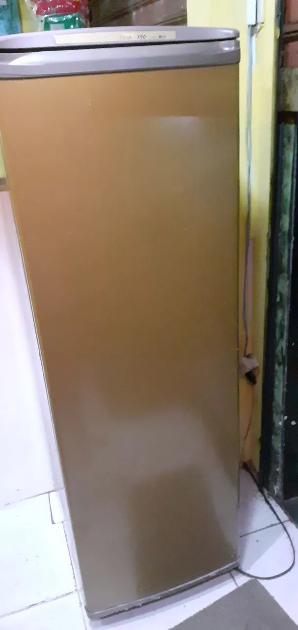 Freezer horizontal