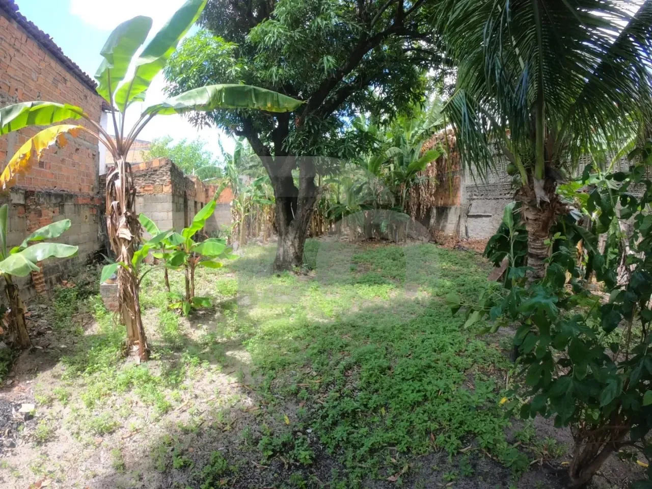 Casa no Bairro Siqueira Campos com 3 Quartos, Varanda, Quintal e Área de Serviço;