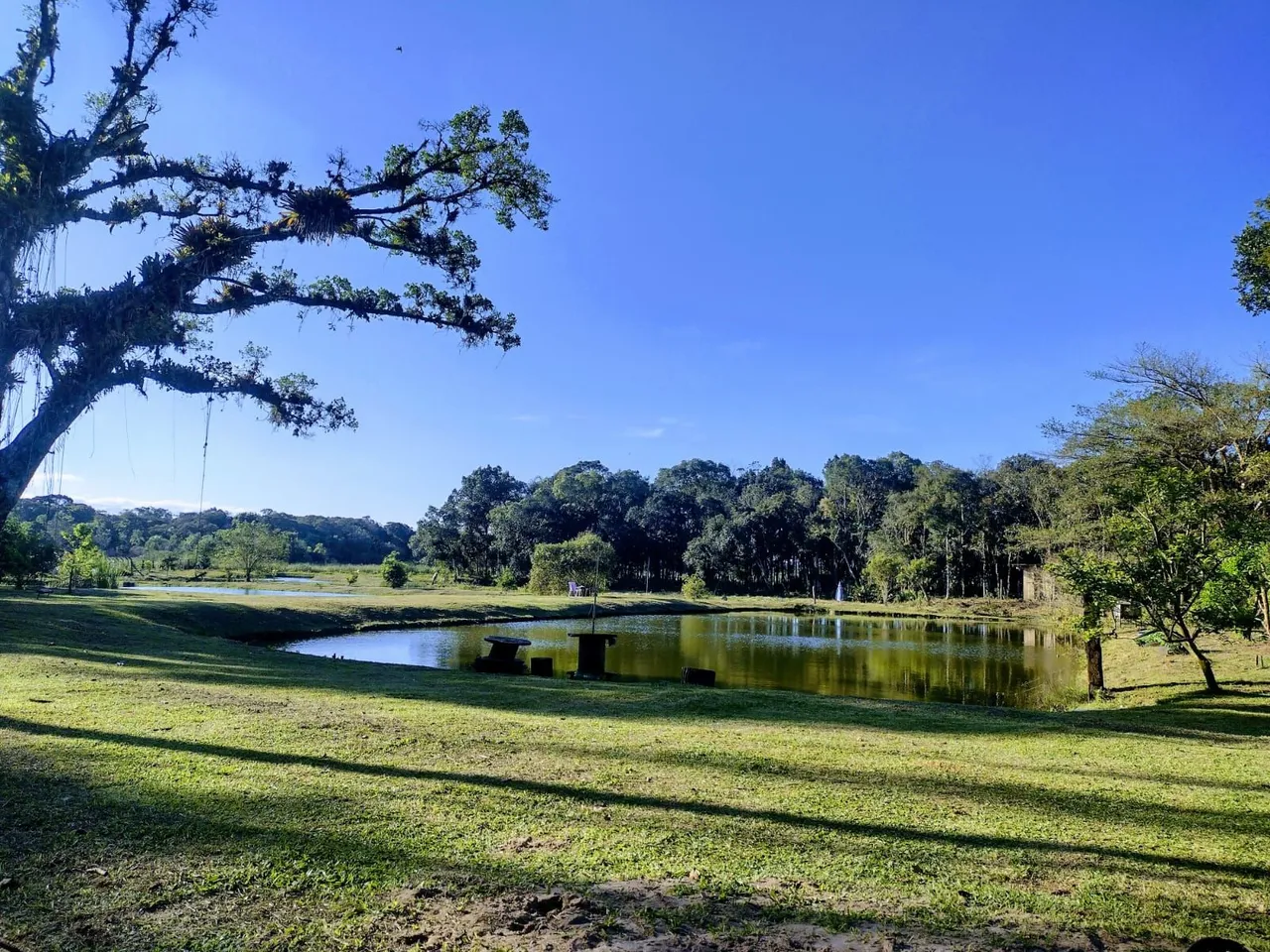 Vendo sítio barra do sul sc