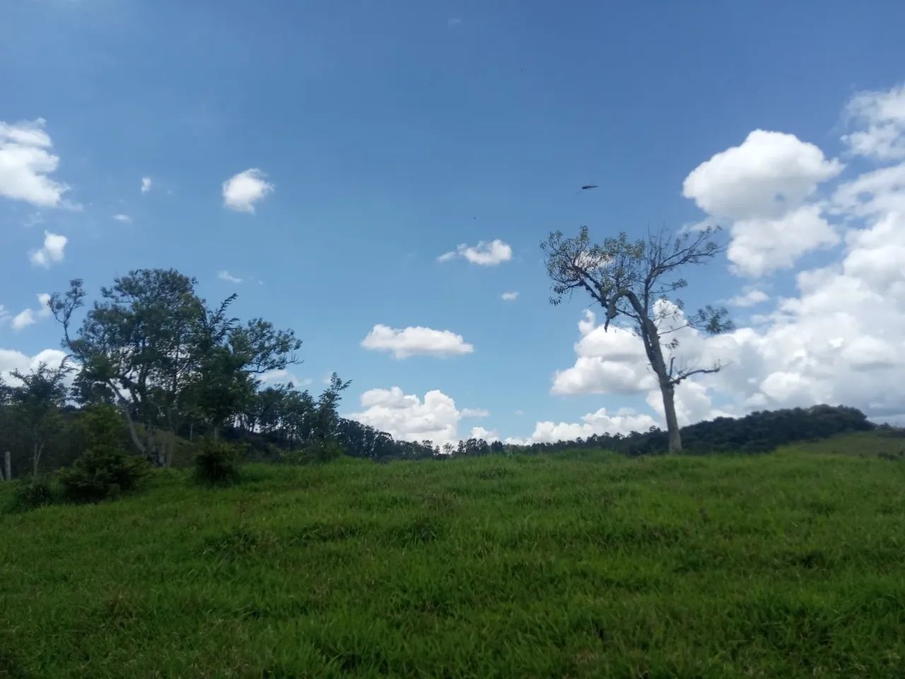 CHÁCARA RURAL CENTRO PEDRA BELA SP COM 65 METROS - Foto 2