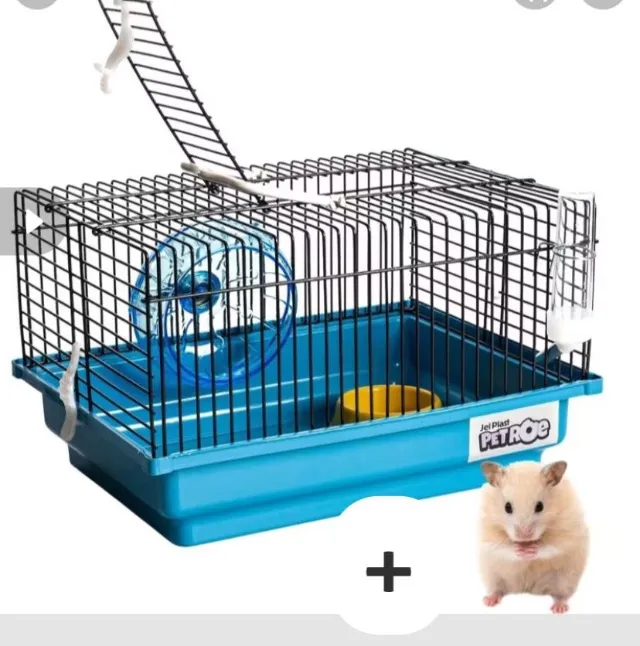 Kit Gaiola de hamister completa nova mais filhote