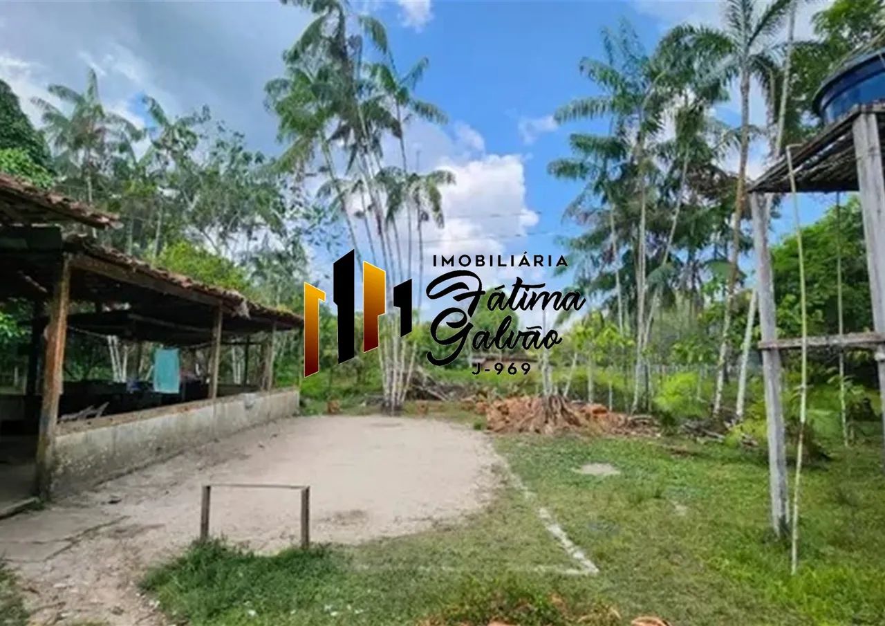 Vendo Sítio com Igarapé na Estrada de Mosqueiro - Foto 3