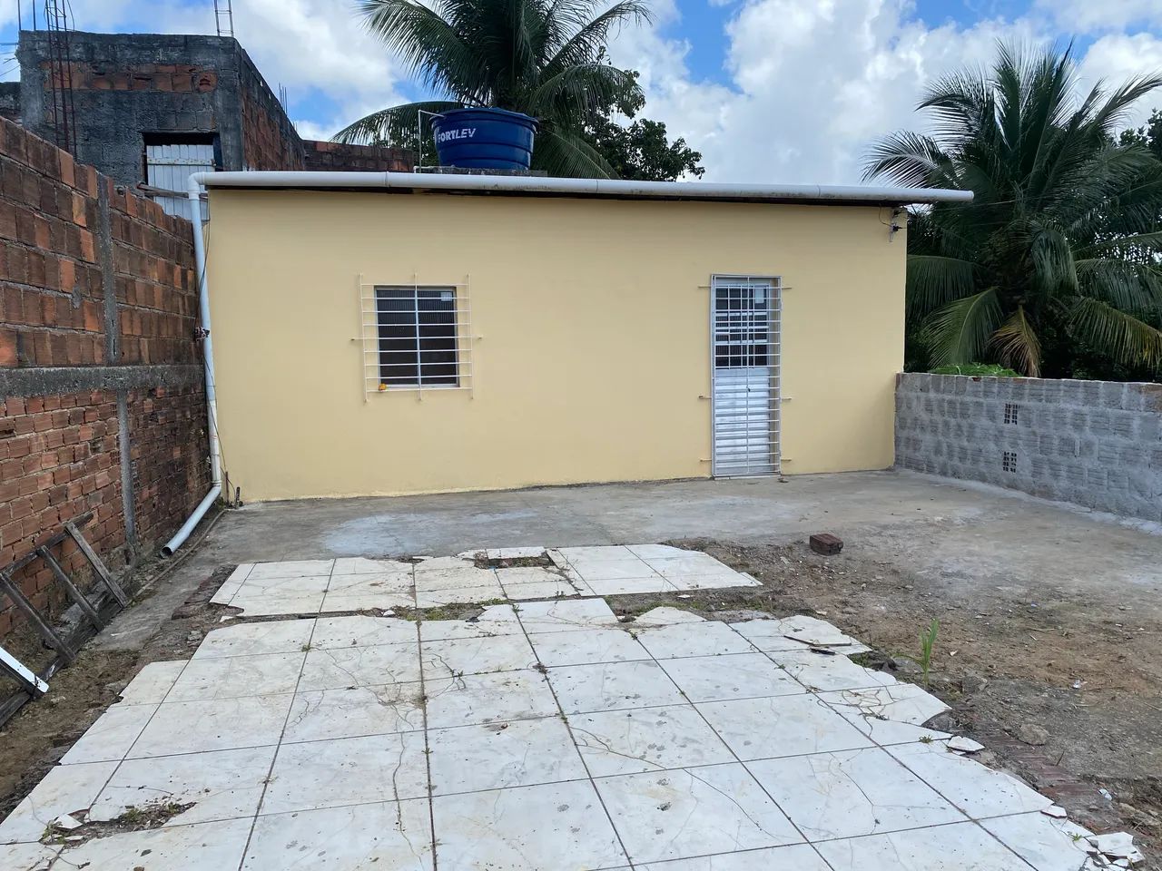 Foto - Recife - Passarinho