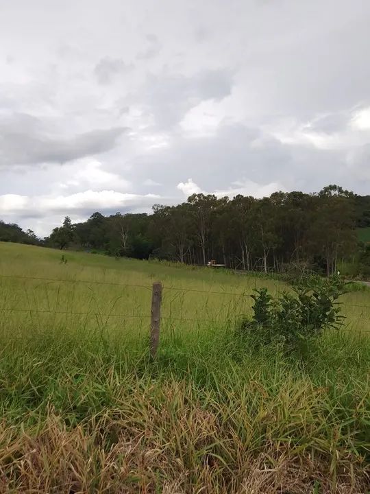 Terreno com 5 hectares - Foto 4