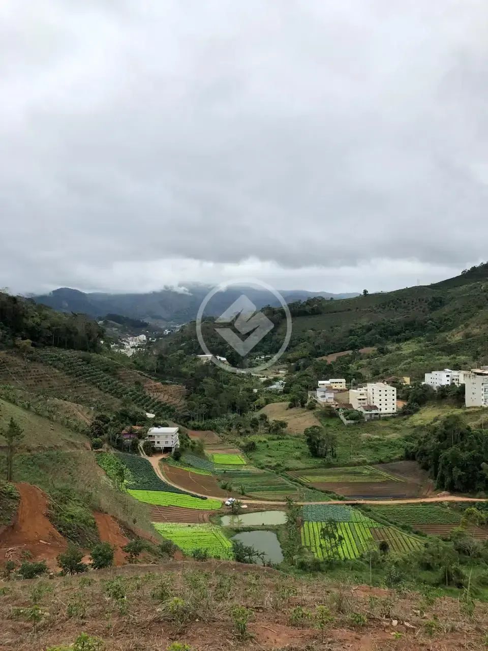 Fazenda de Café - Área para loteamento codigo: 123662 - Foto 4