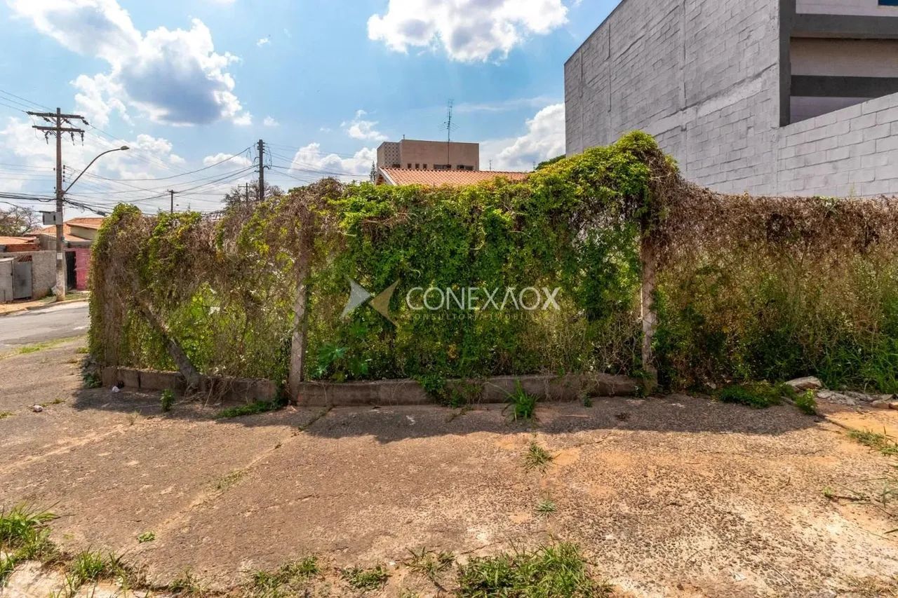 terreno - Vila Marieta - Campinas - Foto 5