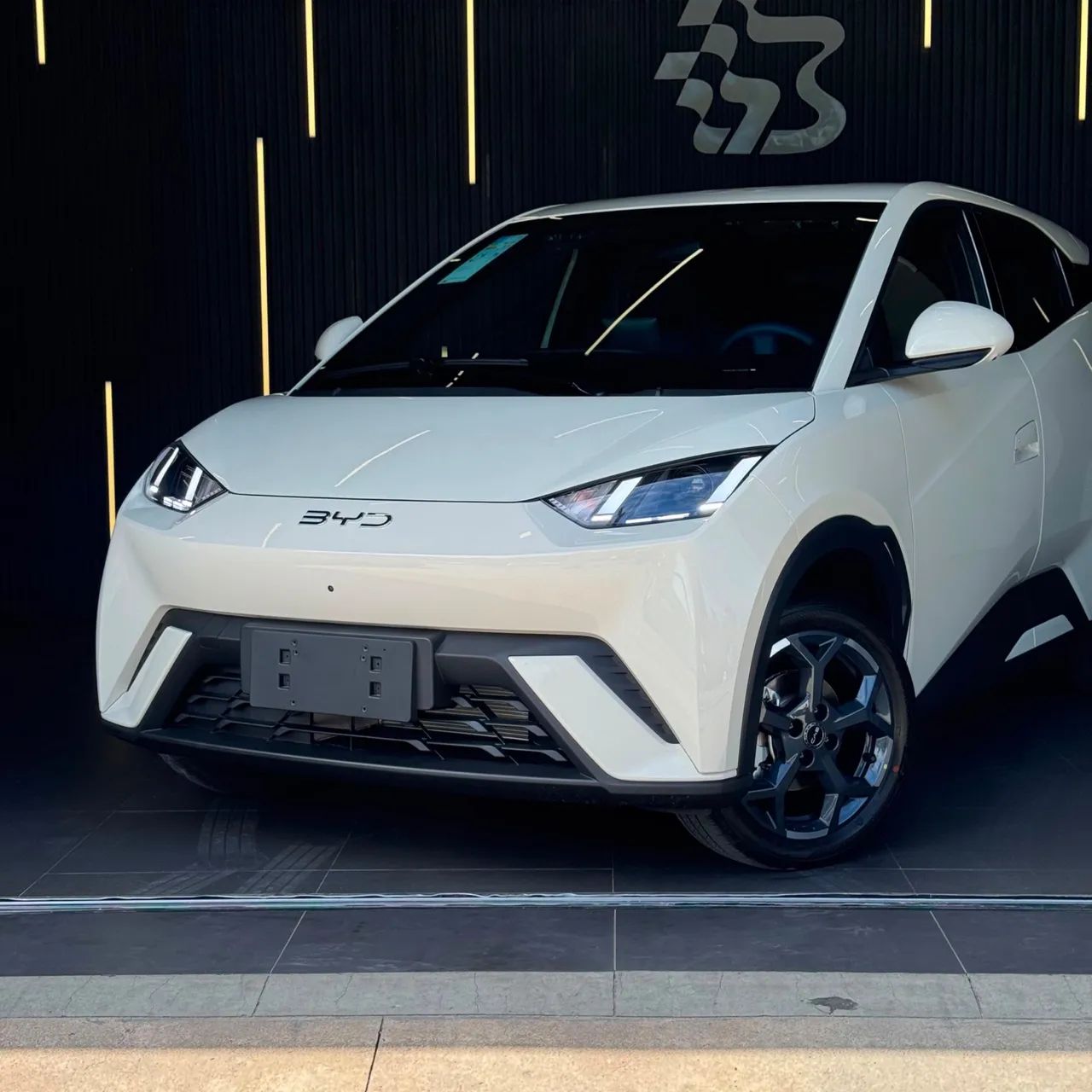 BYD Dolphin Mini (Elétrico) 2027 - Foto 2