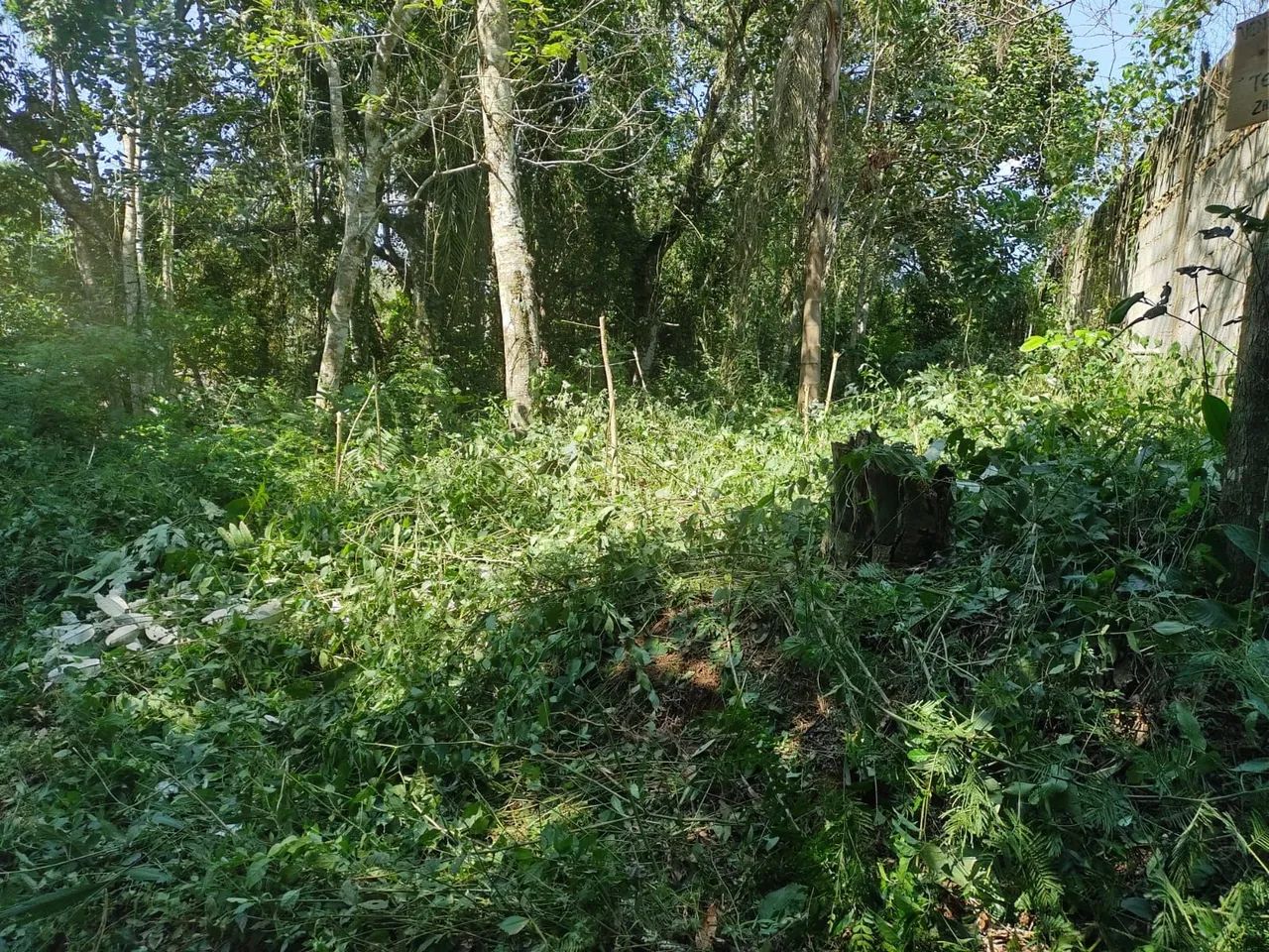 Terreno - Foto 2