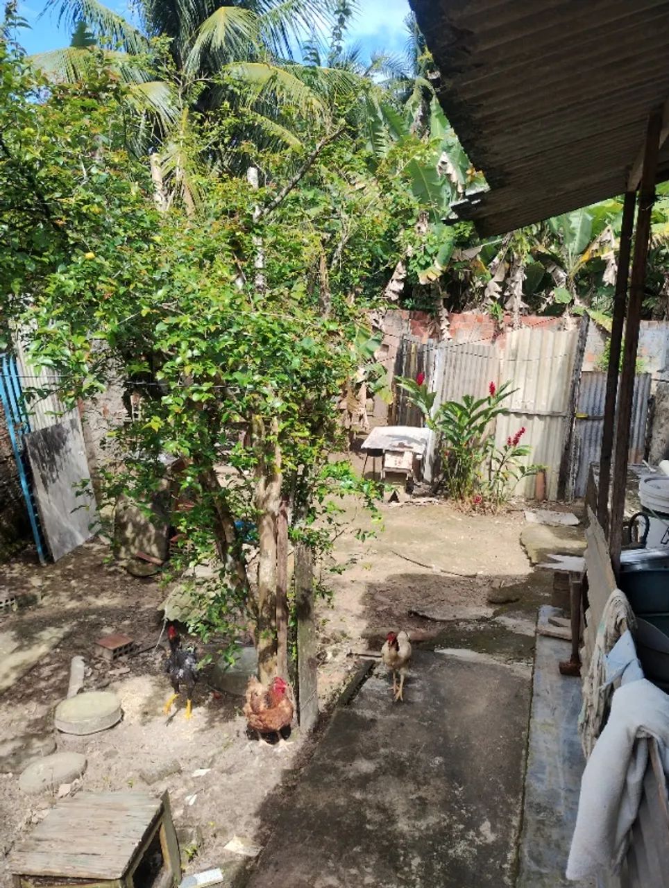 Vende-se ou troca-se este  imóvel - Foto 4
