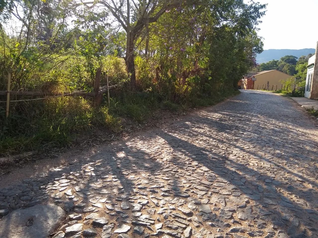 LOTE NO BICHINHO - Foto 5