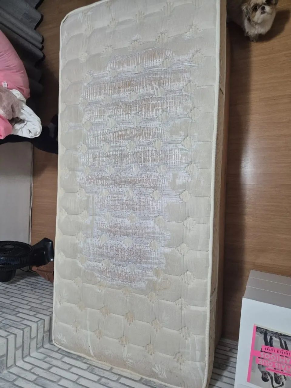 CAMA BAU SOLTEIRO COM COLCHÃO - Foto 5