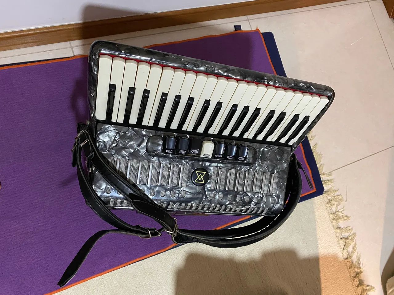 Acordeon- sanfona - Foto 4