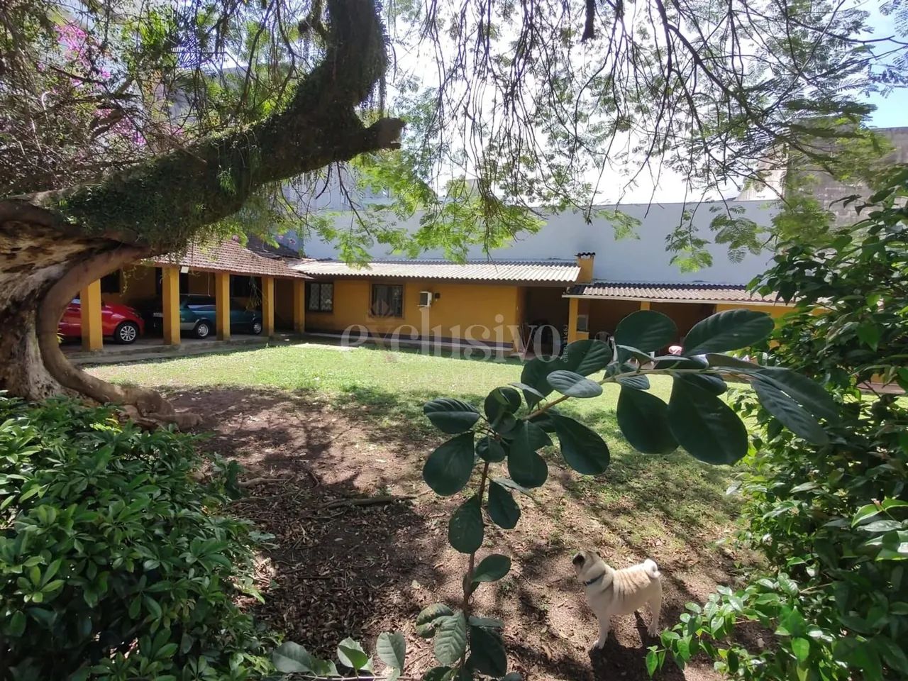 Terreno em Coqueiros - Foto 4