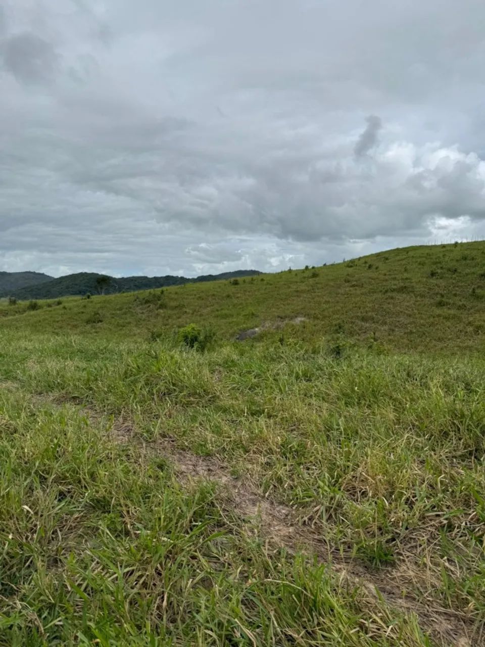 Fazenda para Venda em Atalaia, Zona Rural - Foto 2