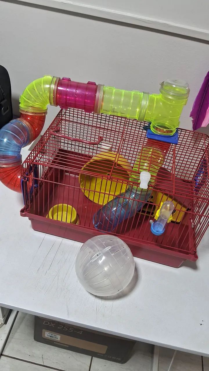 CASINHA PARA HAMSTER