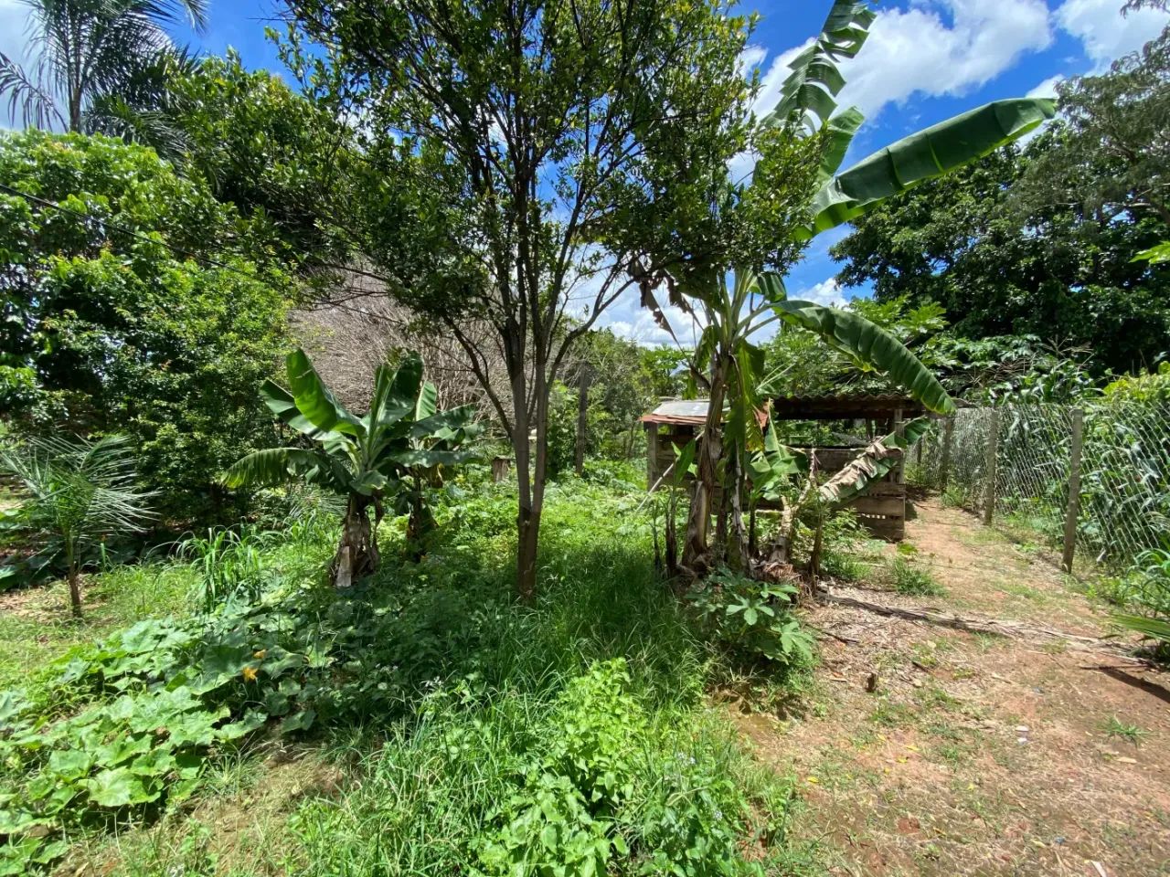 Chácara Para Venda No Bairro Morada Nova - Foto 5