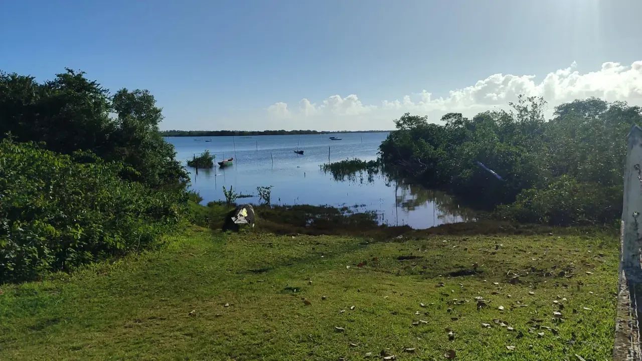 Área para viveiro de camarão - Foto 3