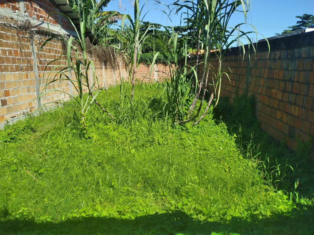 Ccondomínio fechado , murado . - Foto 4