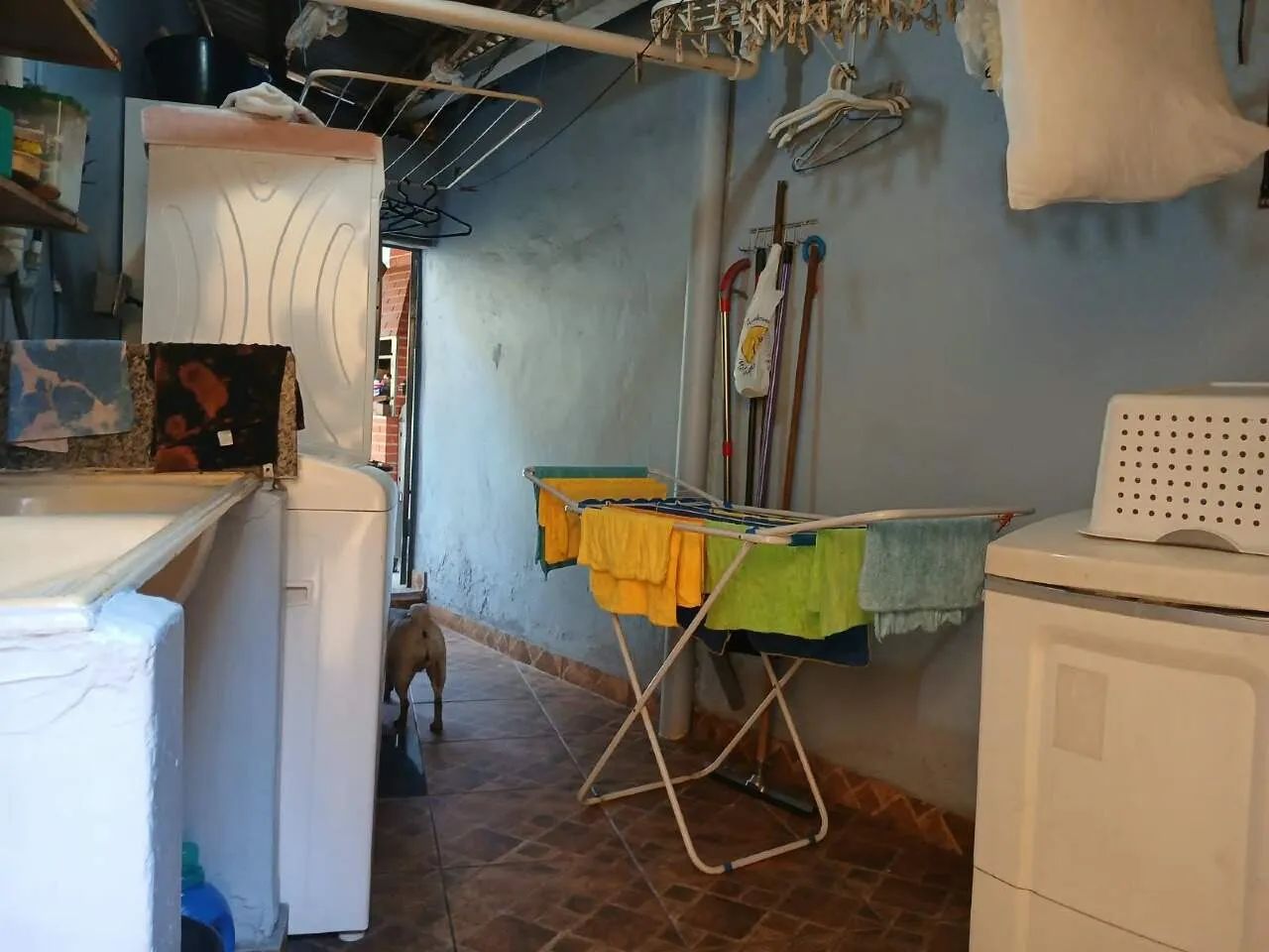 (82507) à venda - Casa com 5 quartos, 5 vagas, no Salgado Filho - Foto 5