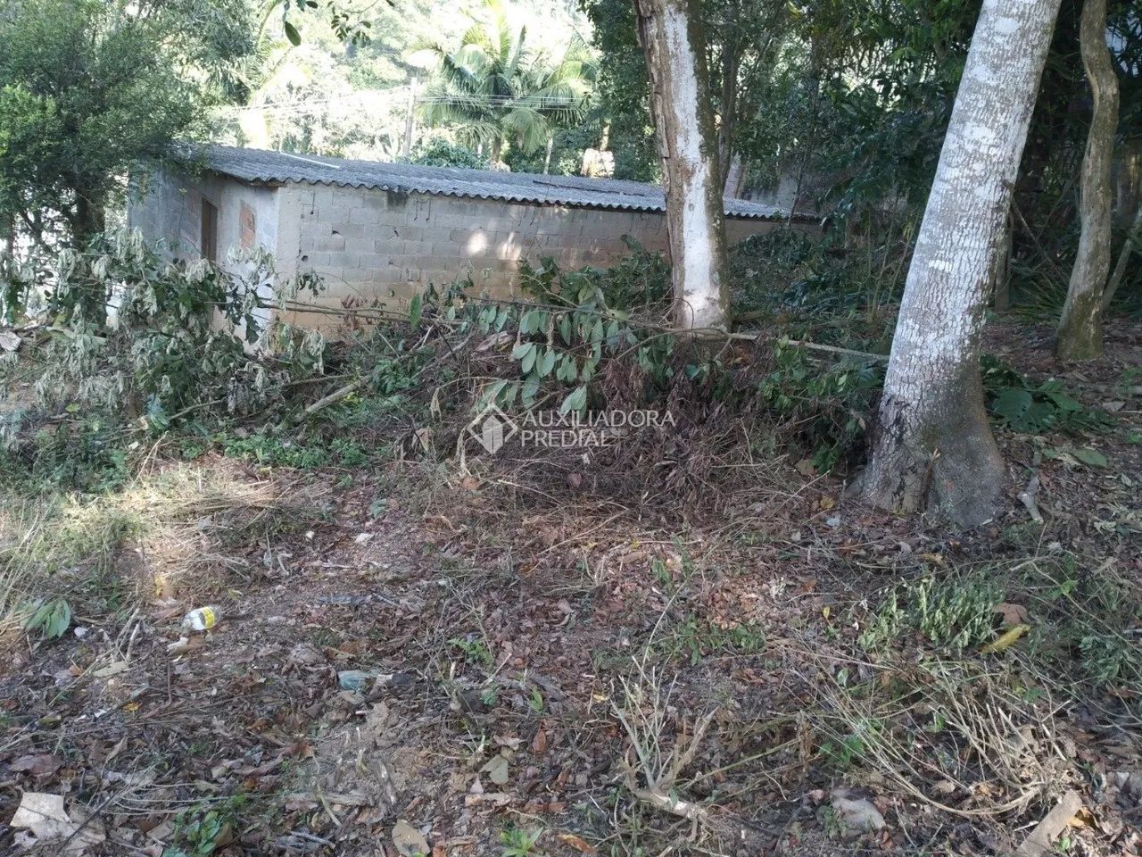 TERRENO - RIACHO GRANDE - SÃO BERNARDO DO CAMPO