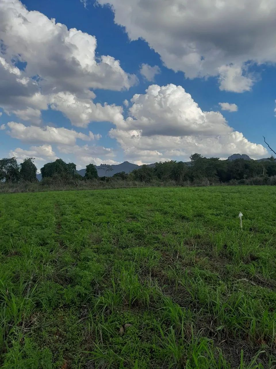 Chacaras na região da varginha divisa com igarape  - Foto 2