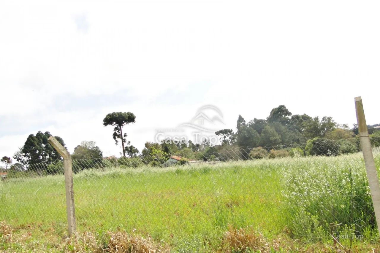 Terreno à venda Cinto Verde - Uvaranas - Foto 5