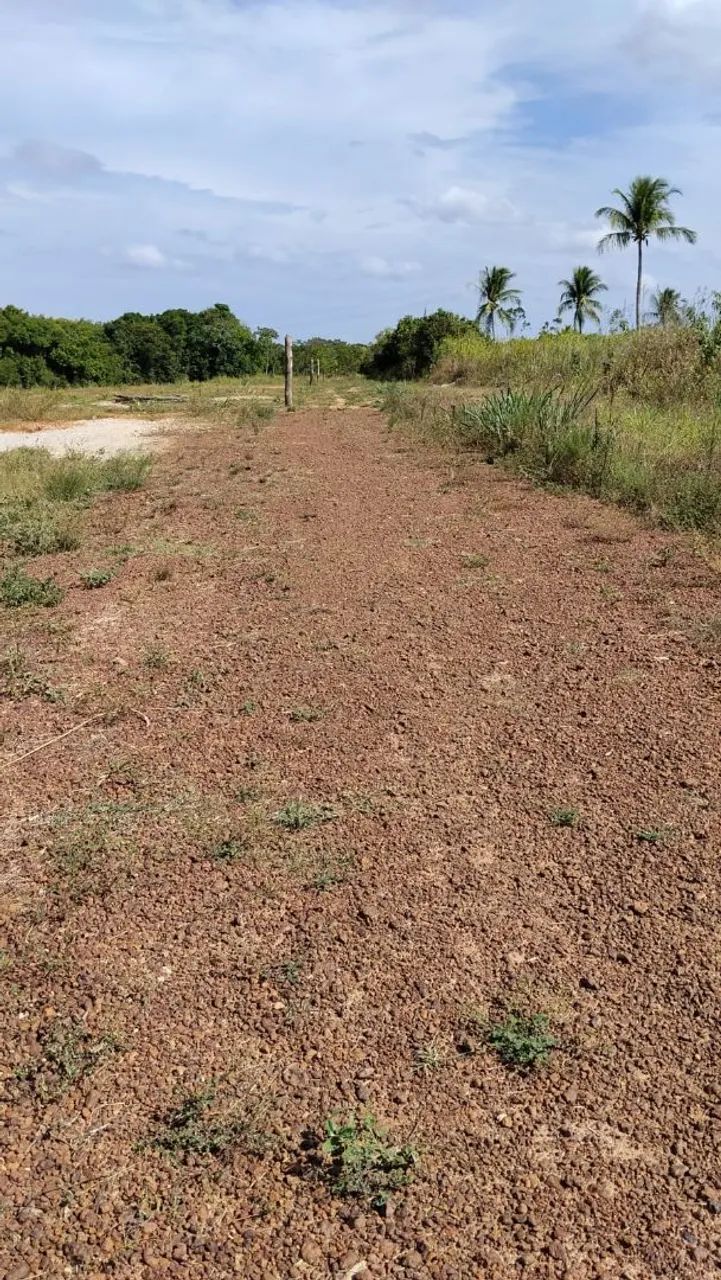 Vendo lote pra chácara em salgado  - Foto 2