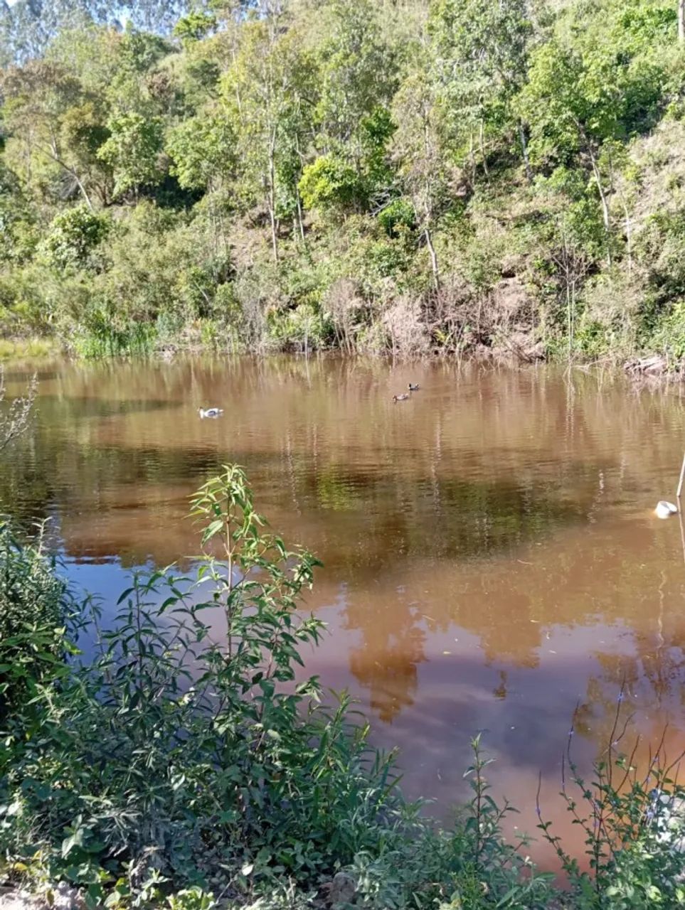 Sítio para Venda em Salesópolis - Foto 2
