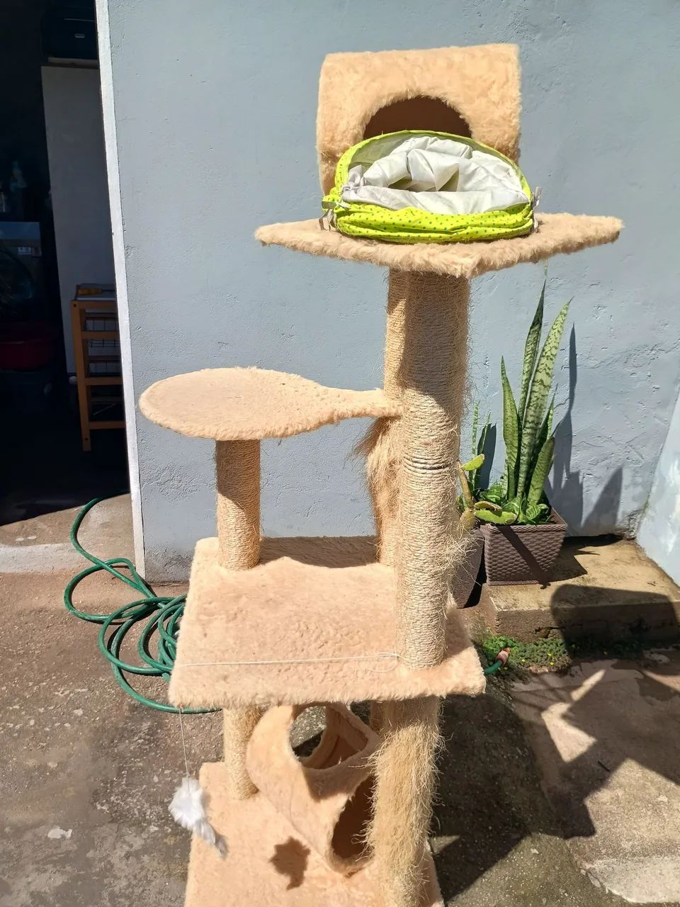 Arranhador de gatos 