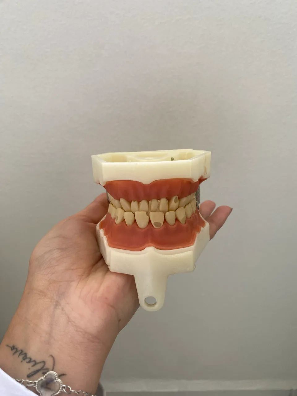 Manequim de materiais dentários 