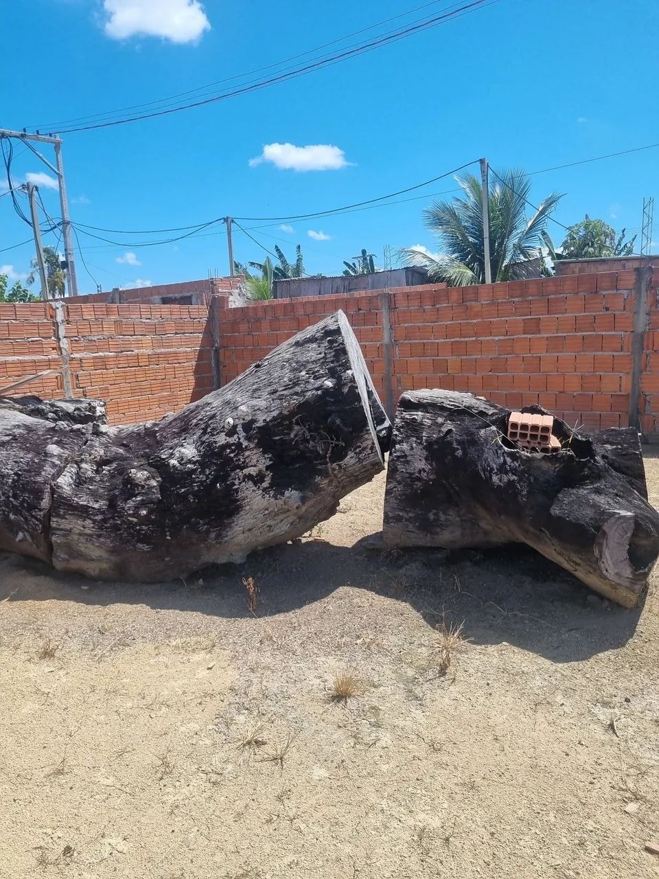 Comprovante de compra e venda feito no cartório  - Foto 3