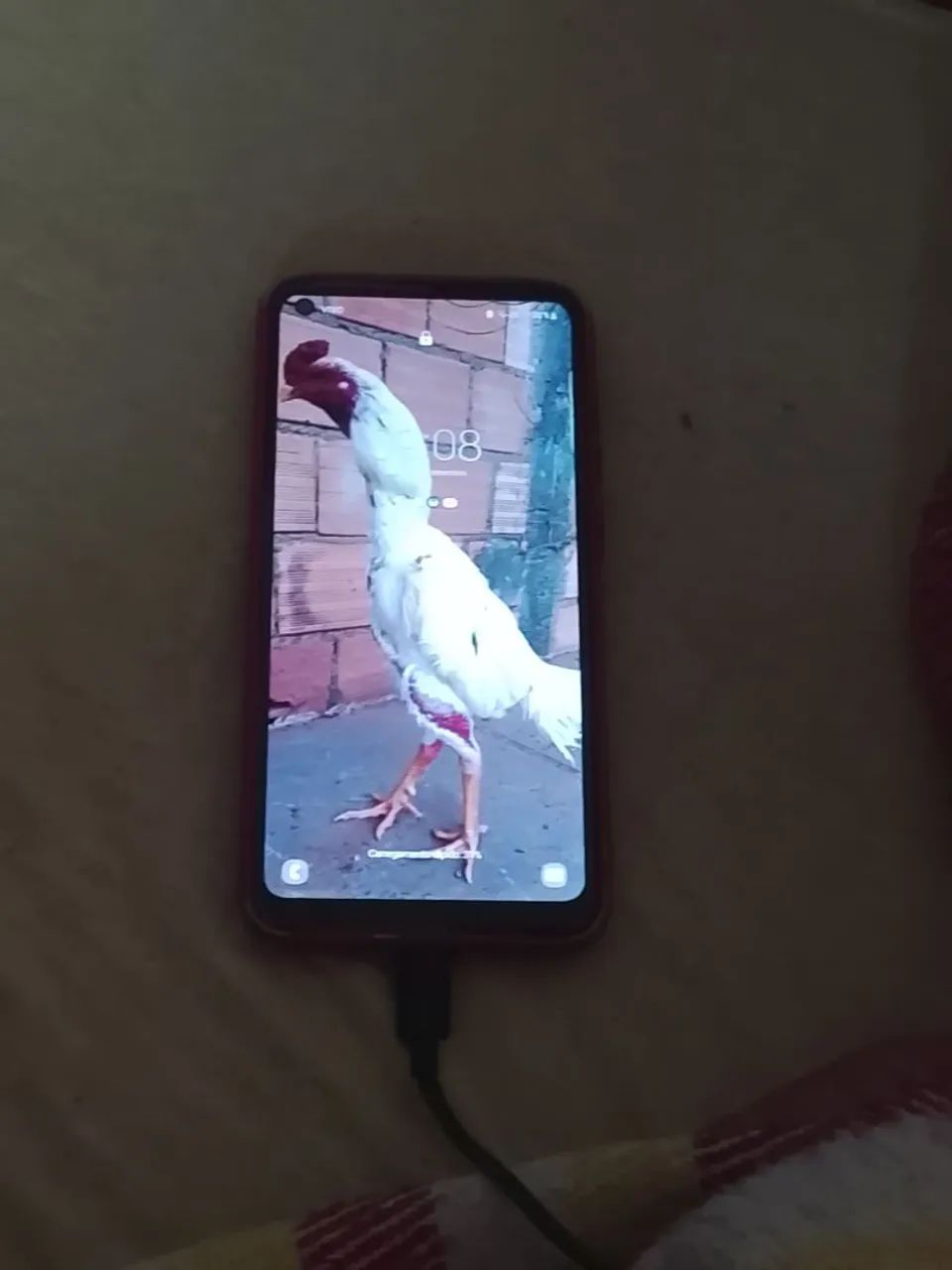 Samsung a15 preço 200 - Foto 2