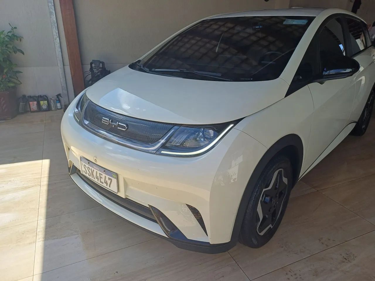 BYD Dolphin EV (Elétrico) 2024