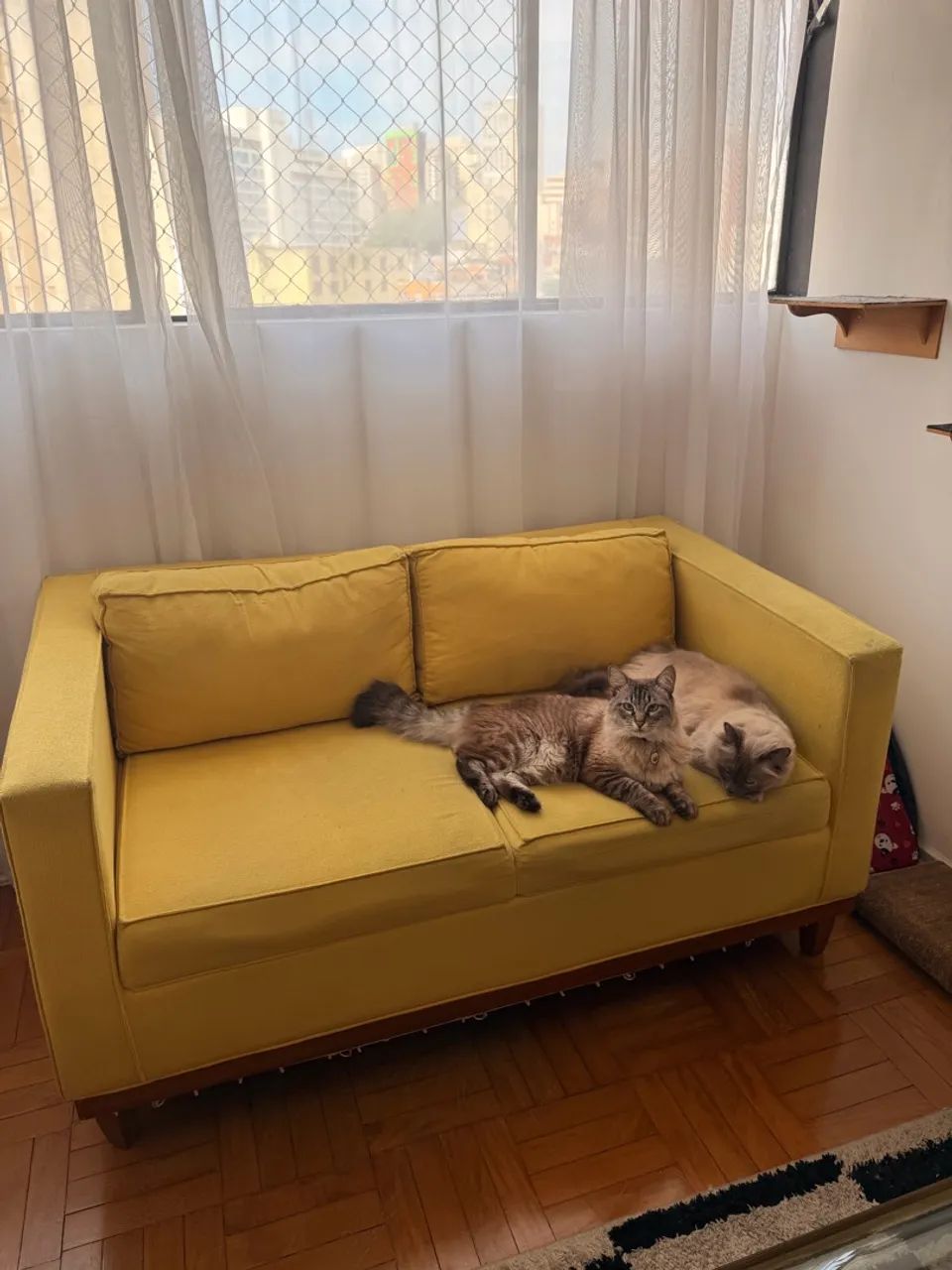 Sofá amarelo 2 lugares 