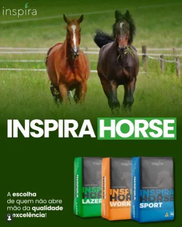 RAÇÃO INSPIRA HORSE 13% LAMINADA E MELAÇADA - Foto 2