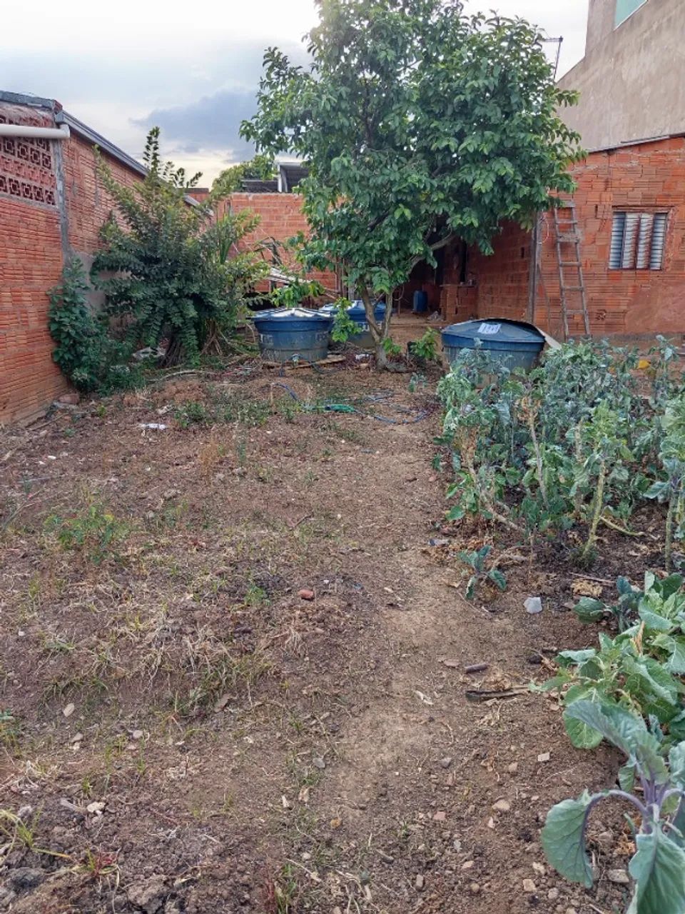Lote com barracão  - Foto 5