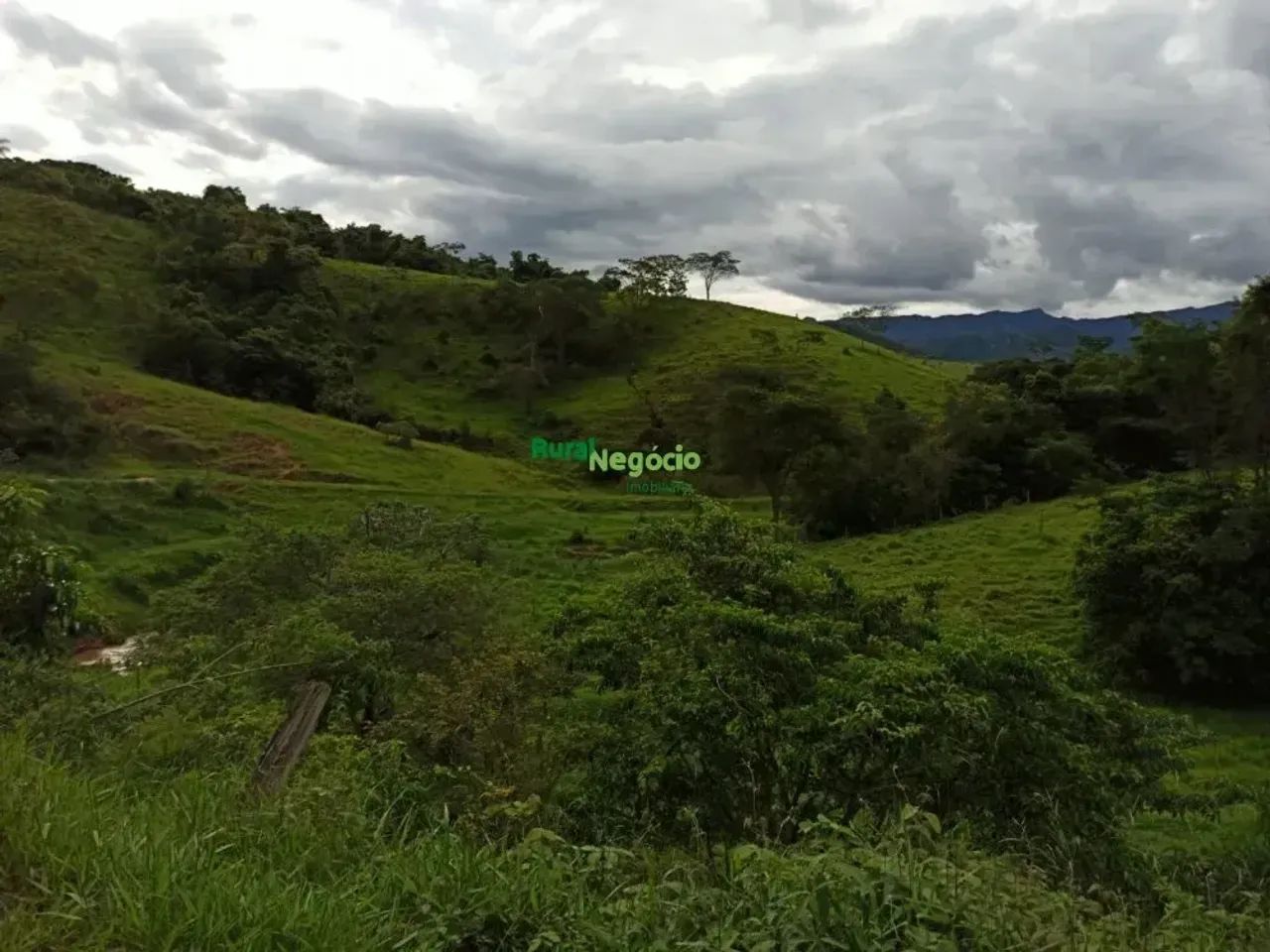Sítio com pasto formado e sem benfeitorias em Lorena-SP - Foto 5