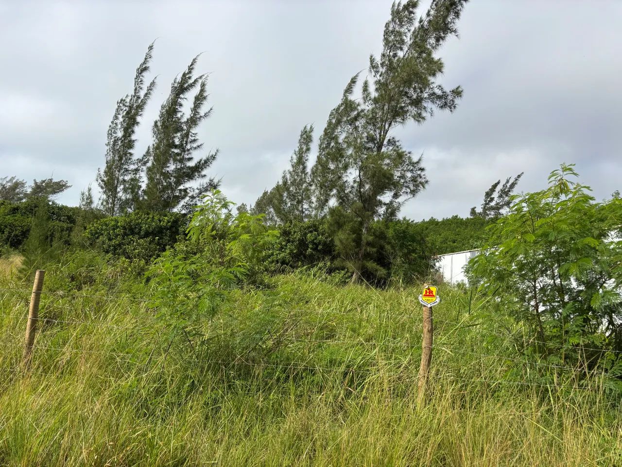 Foto - Armação dos Búzios - Marina