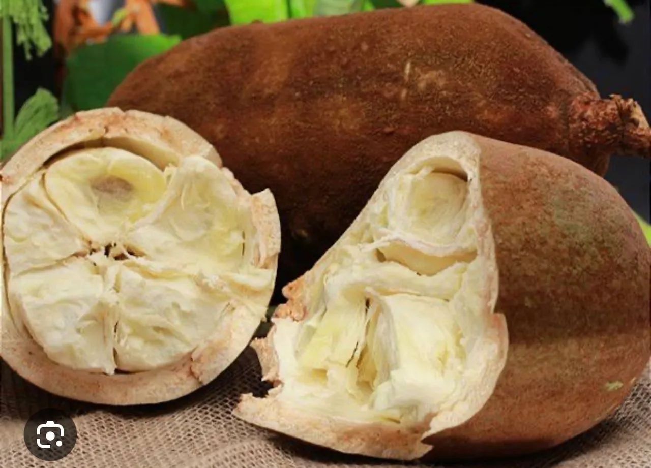 Vende-se Polpa PURA de Cupuaçu 100 % natural (embalagens de 1 kg) - Foto 4