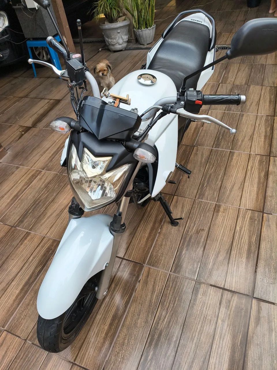 Fazer blueflex 2014 - Foto 2
