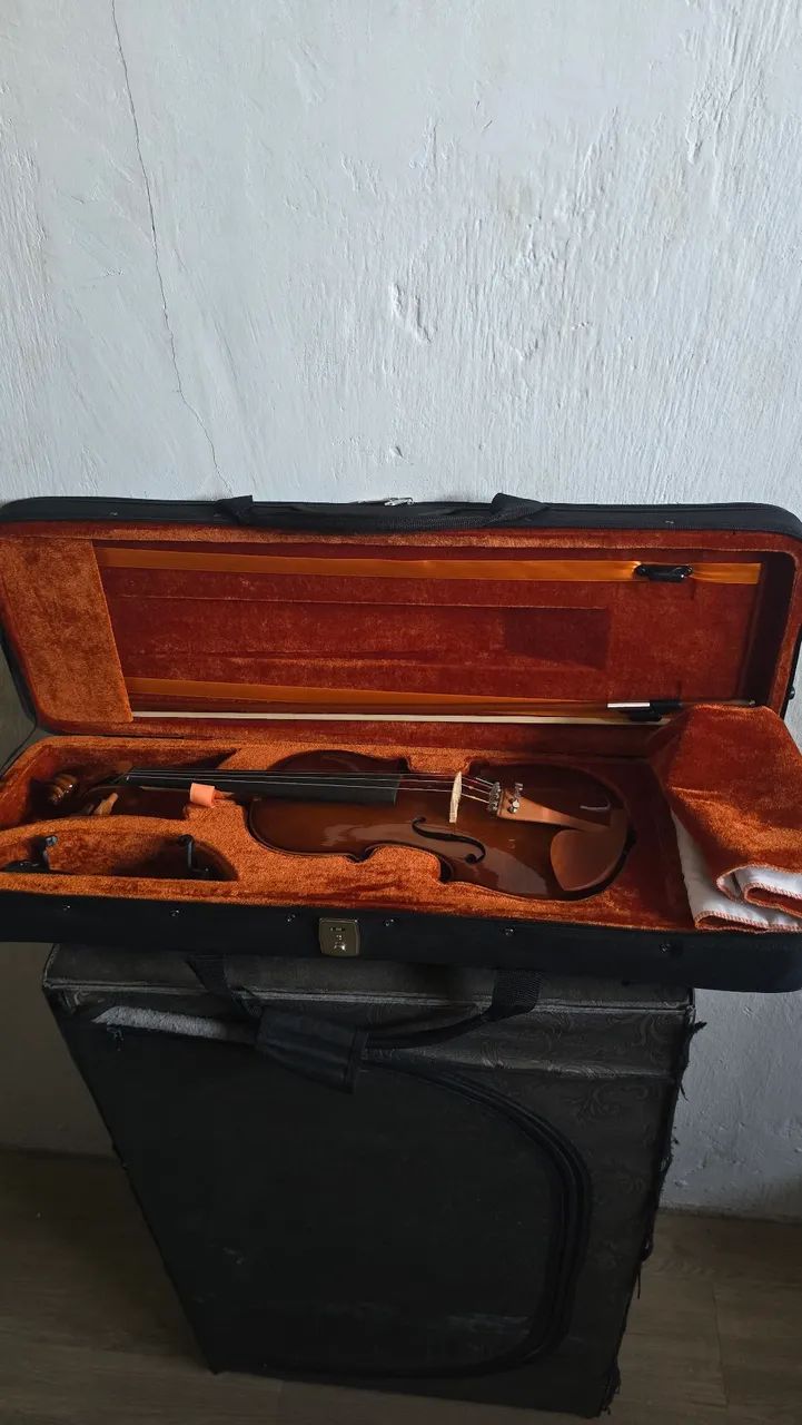 Violino Eagle 4/4 VE441 - Foto 5