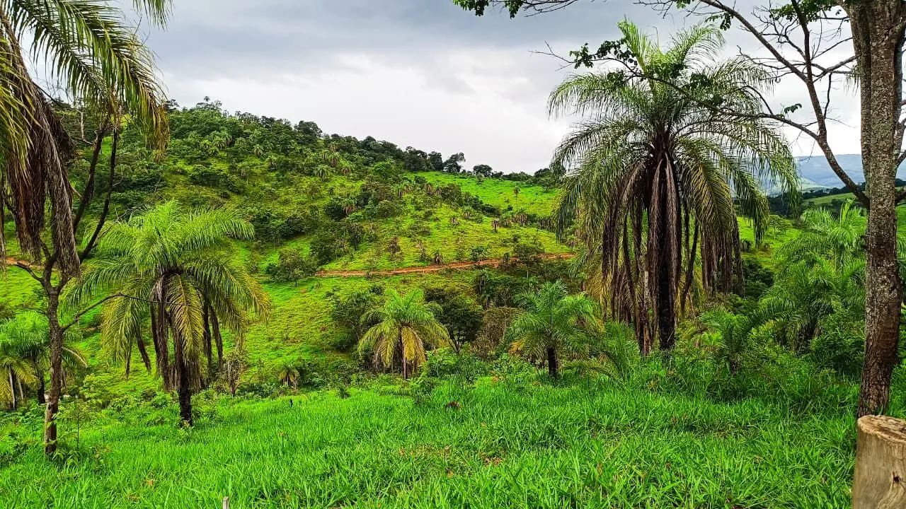 Fazinhandinhas em serra azul Mateus leme  - Foto 4