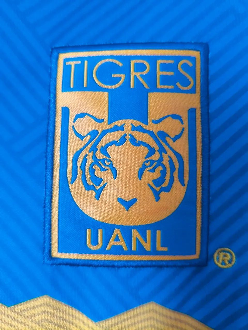 Camisa Tigres (MEX) 2024/25 - Foto 2