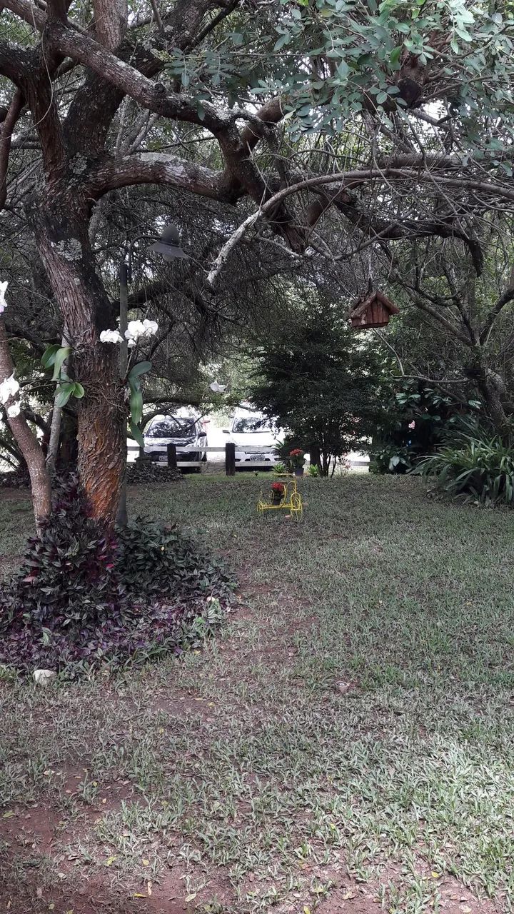 Vaga de empregado rural para sítio  - Foto 2