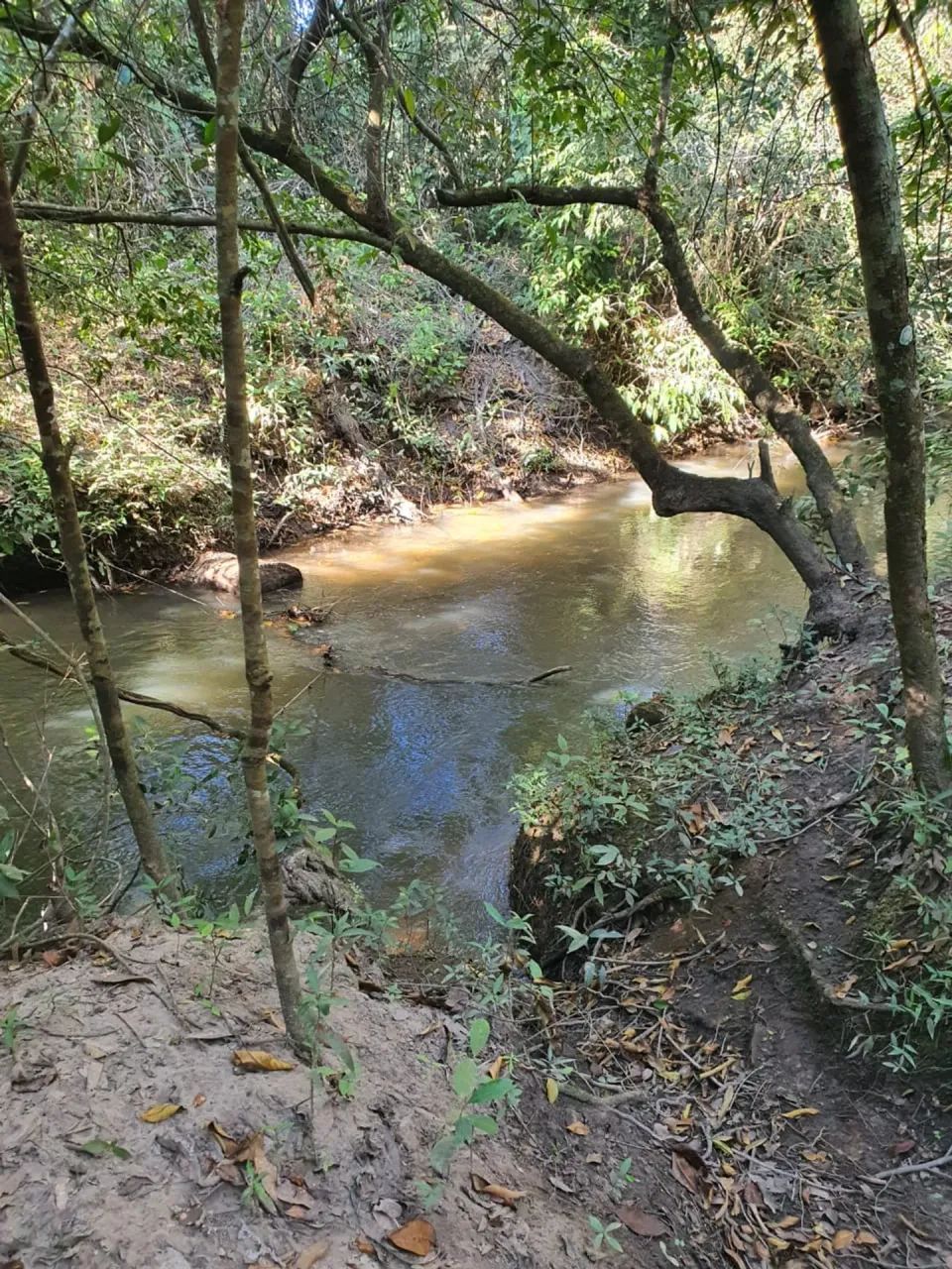 Vendo ótima chácara de 2 hectares em Planaltina DF