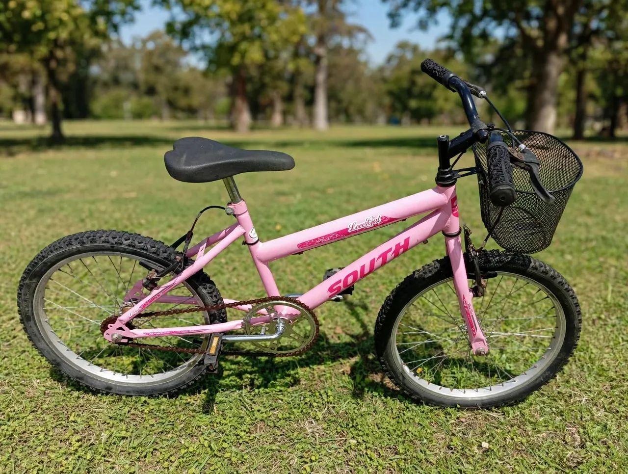 Bicicleta infantil 