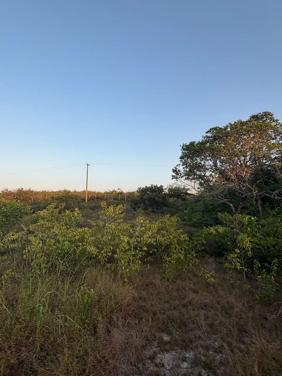 Terreno a venda - Foto 3