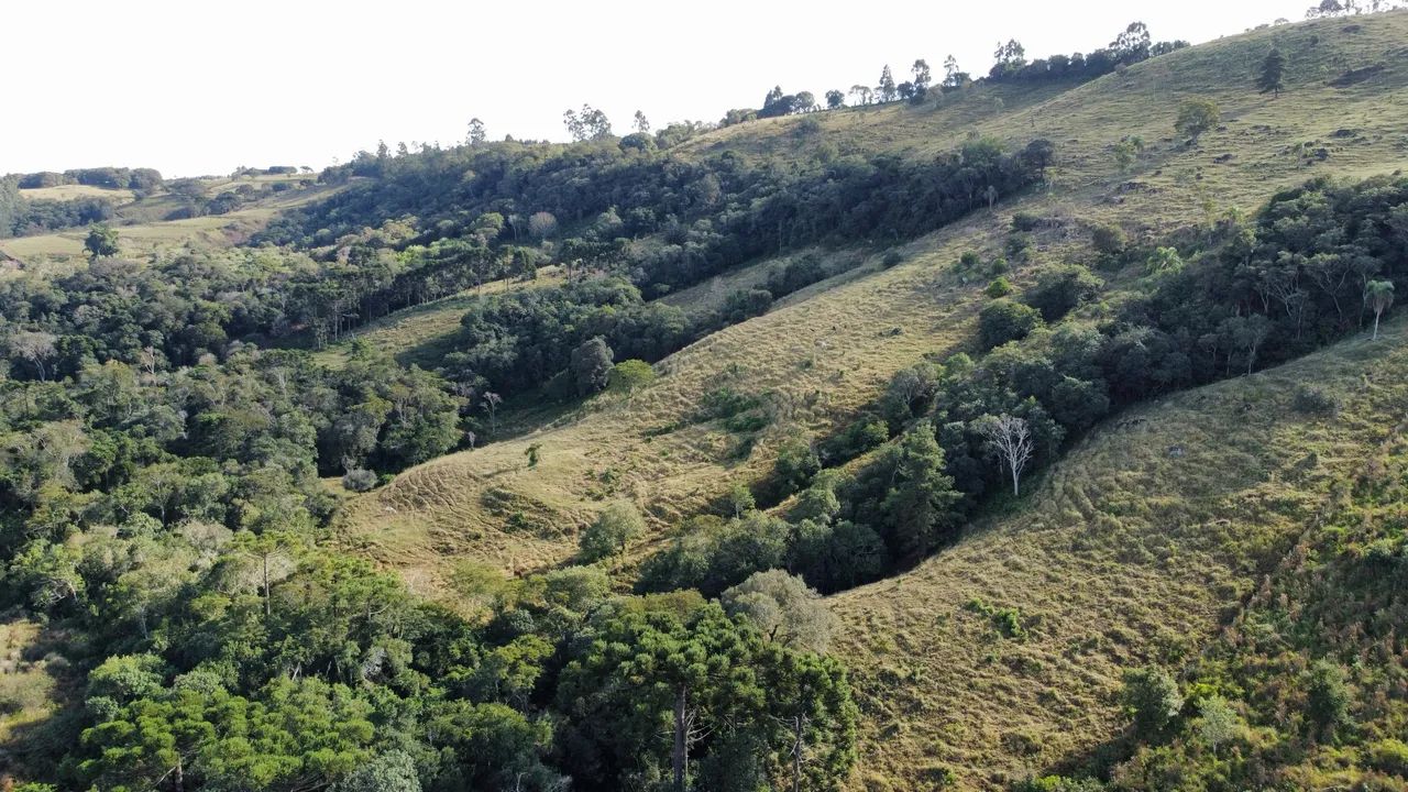 Vende sítio em excelente lugar em são Jerônimo da serra - Foto 3