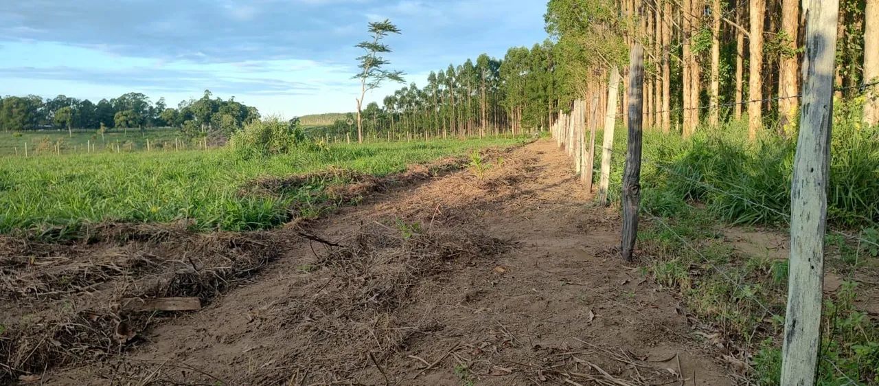 Chácara 4.000 metros em Aracruz  - Foto 5